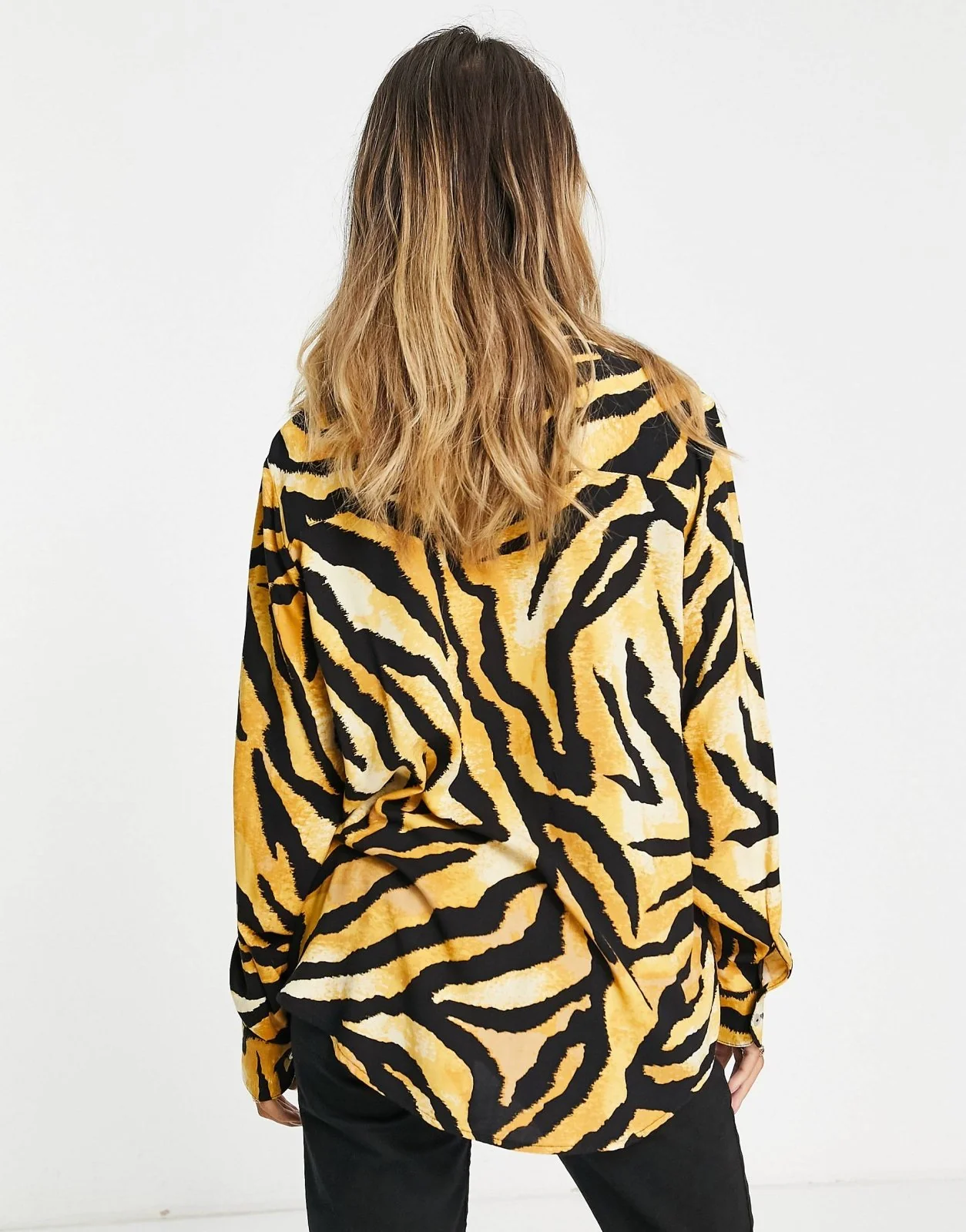 ZEBRA - Image 4
